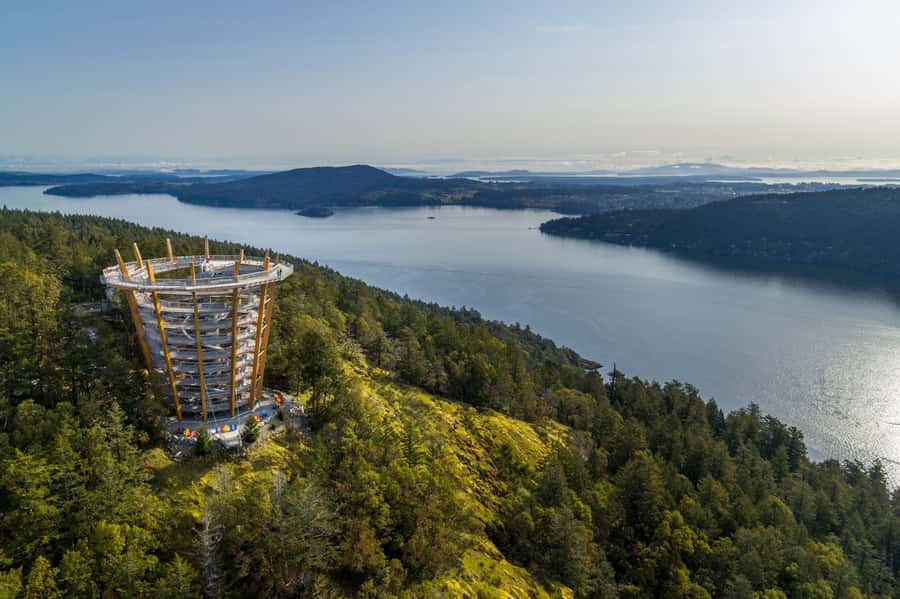 Victoria: Driving Tour w/ Malahat Skywalk & Butchart Gardens - The ferry crossing adds a welcome pause