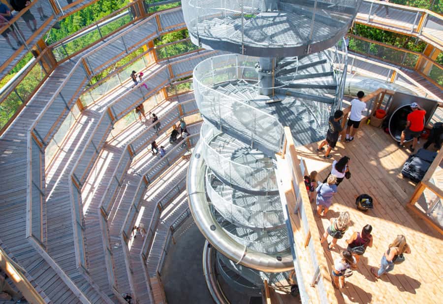 Victoria: Driving Tour w/ Malahat Skywalk & Butchart Gardens - Starting with Malahat Skywalk’s forest views