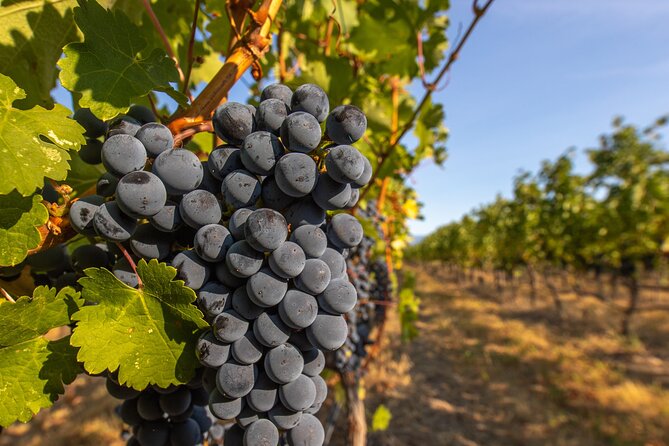 Victoria Full Day Guided Wine Tour With 4 Wineries - Leaving Victoria for the Cowichan Valley