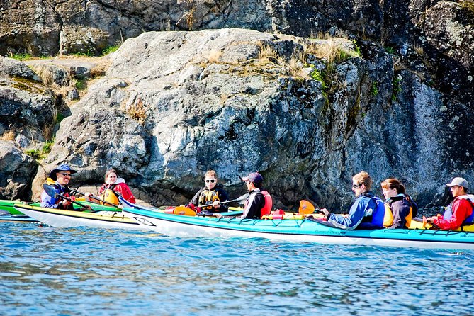 Victoria Harbour Kayak Tour - From Swift Street to the open harbour