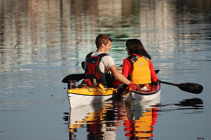Victoria Harbour Kayak Tour - Practical timing, equipment, and comfort