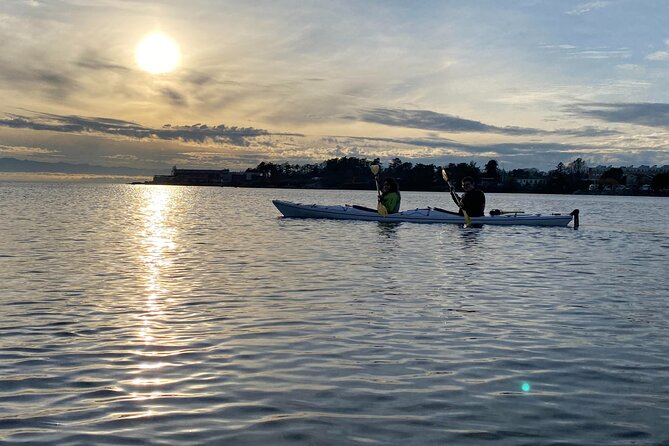 Victoria Harbour Sunset Kayak Tour - Launching into Victoria Harbour