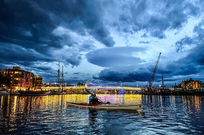 Victoria Harbour Sunset Kayak Tour - The wildlife is a real part of the outing