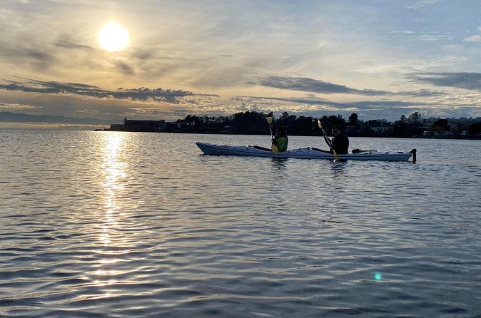 Victoria Harbour Sunset Kayak Tour - Starting at 450 Swift Street