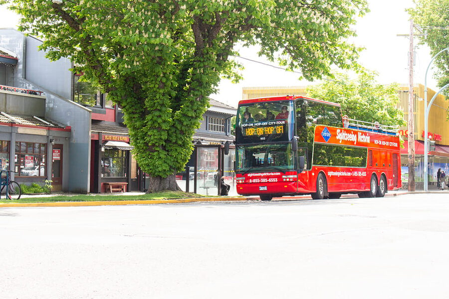 Victoria: Hop-On-Hop-Off Sightseeing Bus Tour - Key details before you climb aboard