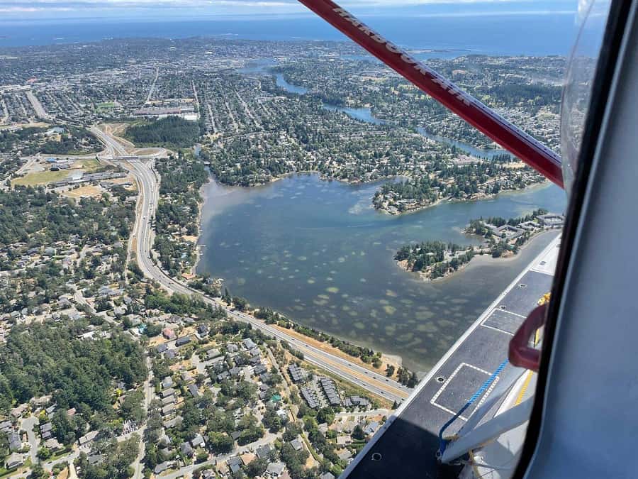 Victoria: Scenic Panorama Seaplane Tour - Elk Lake and Mount Douglas from above