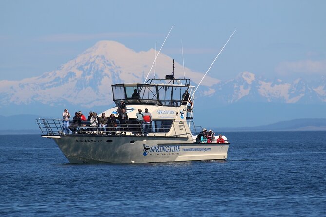 Victoria Whale Watch Tour - Key Points to Know Before You Go