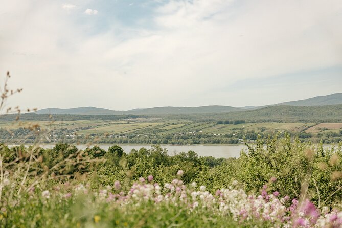 VIP Agritourism Tour of Île d’Orléans & Montmorency Falls (Lunch) - Jam, preserves, and the practical side of local food