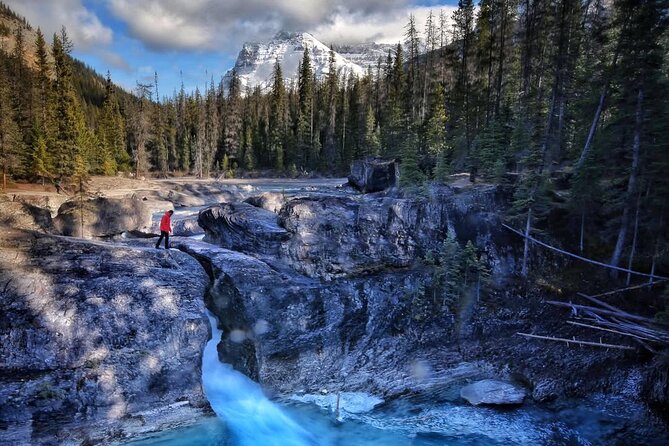 Waterfalls, Lakes & Hidden Gems – Yoho Adventure from Calgary - Field gives you a proper break and lunch choice