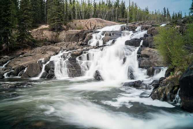 Waterton Lakes National Park Scenic Day Tour from Calgary - One hour in Waterton townsite