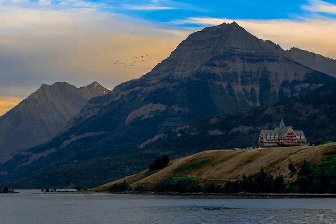 Waterton Lakes National Park Scenic Day Tour from Calgary - Bison viewing and the backup stop at Okotoks Big Rock