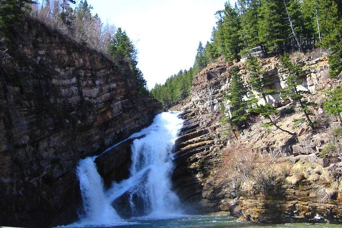 Waterton Lakes National Park Scenic Day Tour from Calgary - The guide, languages, and group atmosphere