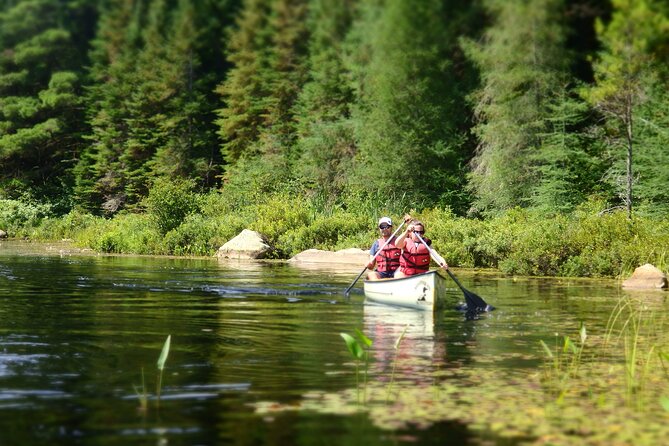 Welcome To Camping At Algonquin Park (2 Day) - Canoeing and kayaking on Lake Opeongo