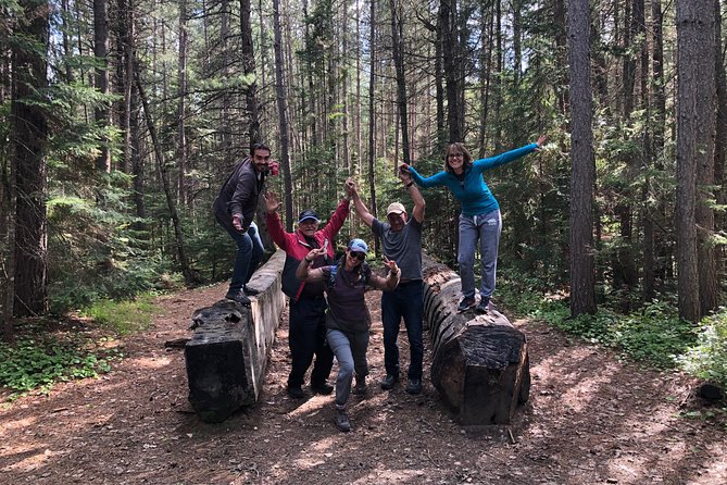 Welcome To Camping At Algonquin Park (2 Day) - Who will get the most from this Algonquin trip