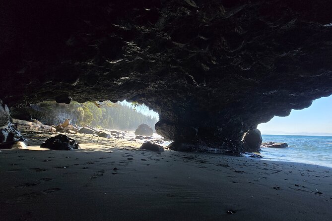 West Coast Wildlife Rainforest Waterfall and Beaches - Muir Creek Beach brings seals into the picture