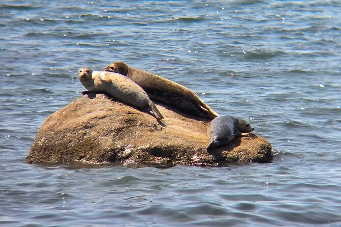 West Coast Wildlife Rainforest Waterfall and Beaches - Price, group size, and what you receive