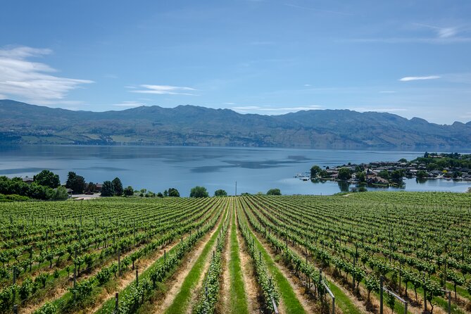 West Kelowna Full Day Lunch Wine Tour-Incl Tastings & Guide Grat - Rollingdale Winery brings organic farming to the glass