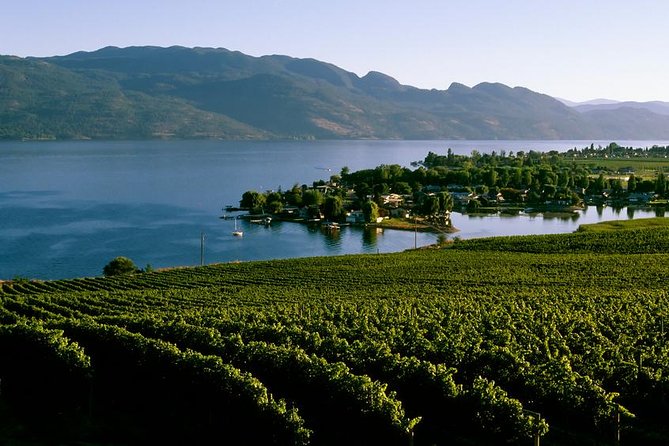 West Kelowna Wine Tour - Classic - 4 Wineries - Six useful points to know before you go