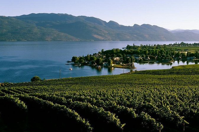 West Kelowna Wine Tour - Classic - 4 Wineries - Kalala Organic Estate Winery has a quieter feel