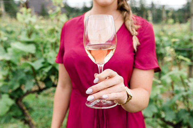 West Kelowna Wine Tour - Classic - 4 Wineries - Why the guide matters on a short wine tour