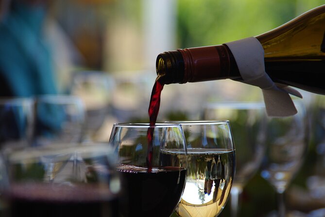 West Kelowna Wine Trail - Visit 5 wineries - Who should book this West Kelowna wine tour?