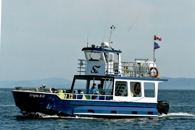 Whale Watching Adventure from Vancouver BC - Food, water, and what the price covers