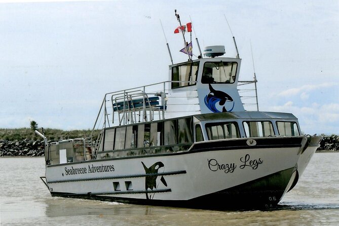 Whale Watching Adventure from Vancouver BC - Who will enjoy this trip most