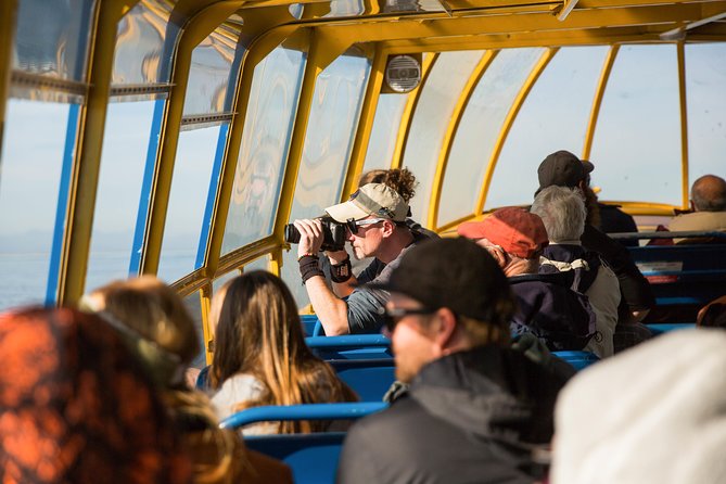 Whale-Watching Tour from Vancouver - What the three to five hours actually involve