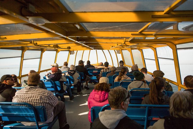 Whale-Watching Tour from Vancouver - The guides and crew add real value
