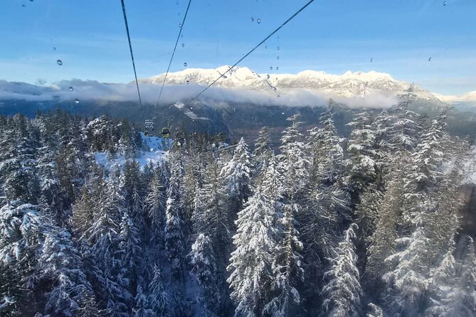 Whistler Sea 2 Sky Gondola, Shannon Falls Small Group Max 12 Tour - Three hours in Whistler Village