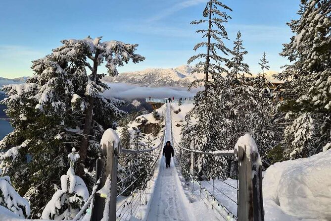 Whistler Sea 2 Sky Gondola, Shannon Falls Small Group Max 12 Tour - What the $147.88 price covers