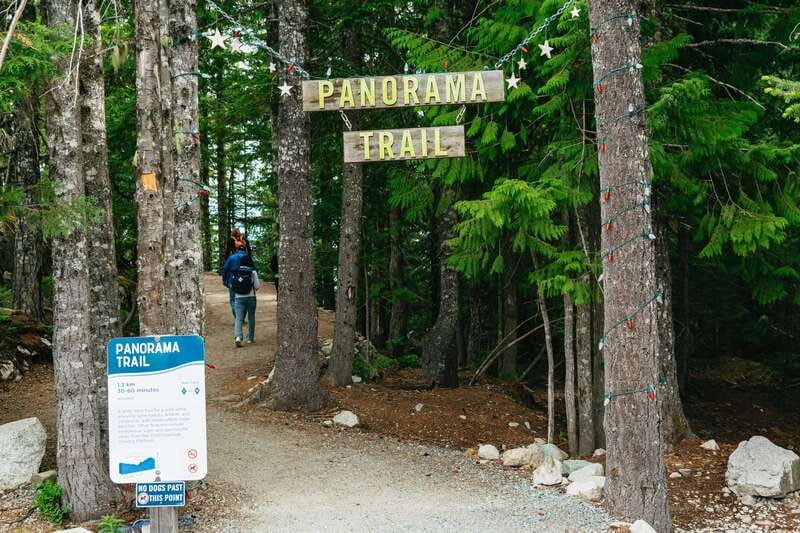 Whistler, Sea to Sky Gondola, and Shannon Falls Day Trip - What the guides add to the day