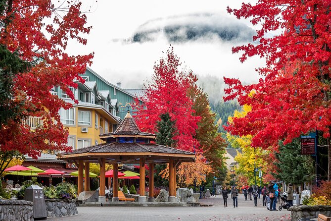 Whistler: Sea to Sky Gondola Shannon and Brandywine Falls Tour - Key points to know before booking