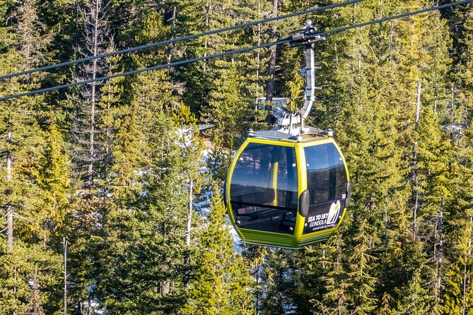 Whistler: Sea to Sky Gondola Shannon and Brandywine Falls Tour - Stawamus Chief: granite on a grand scale