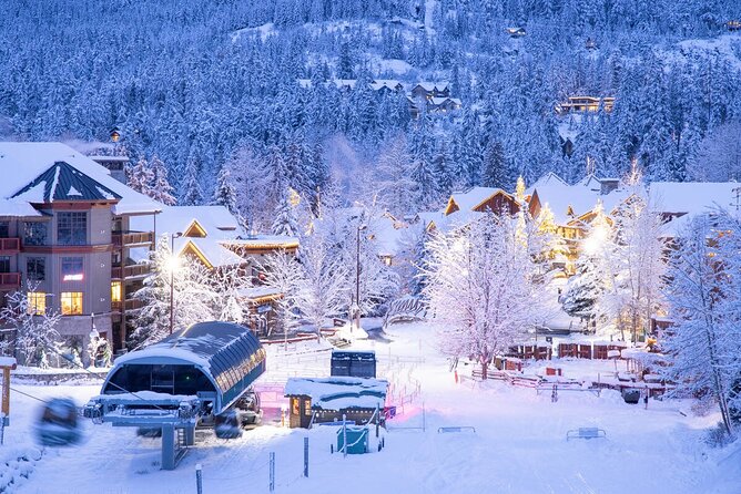 Whistler, Squamish Canyon Walk & Mamquam Falls - Who will get the most from this tour