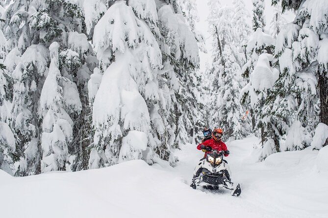 Whistler Wilderness Run Snowmobile Tour - The Guides Make the Difference
