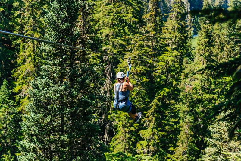 Whistler: Ziplining Experience - Key Points at a Glance