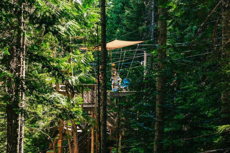 Whistler: Ziplining Experience - Winter, Summer, and Shoulder-Season Conditions