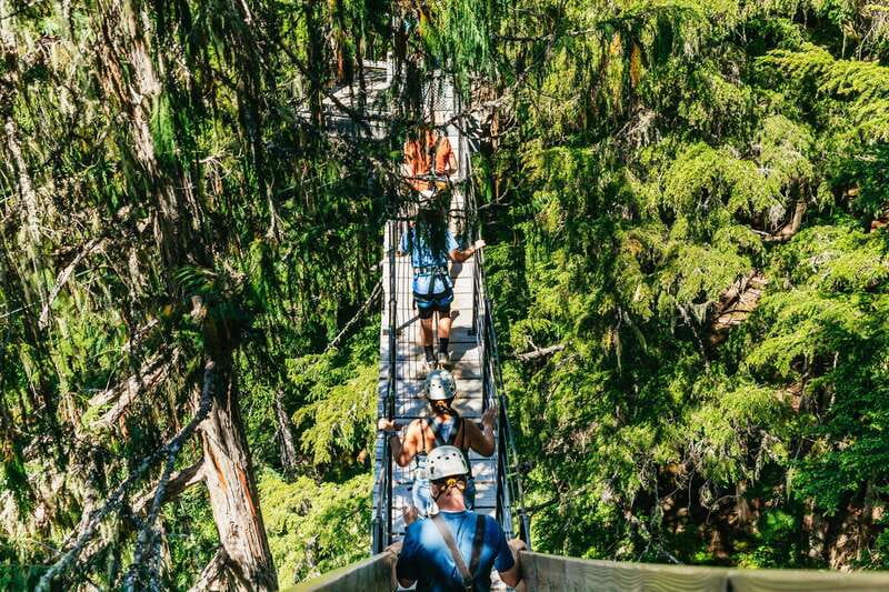 Whistler: Ziplining Experience - Is $130 a Fair Price?