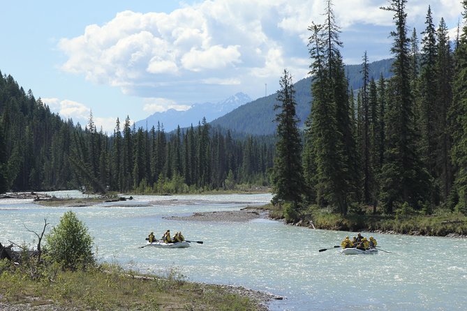 Wild Water Adventures - Starting at the Beaverfoot Road river base