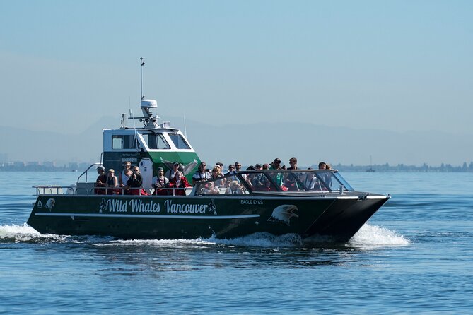 Wild Whale Watching Experience - Open Air Vessel - A marine naturalist makes the long ride better