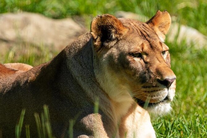 Wilder Institute/Calgary Zoo: Entry Ticket - Wild Canada brings the visit close to home
