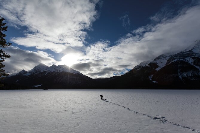 Wilderness and Wildlife Hiking Tour - 3hr Hike - Three hours beyond Canmore’s busiest trails
