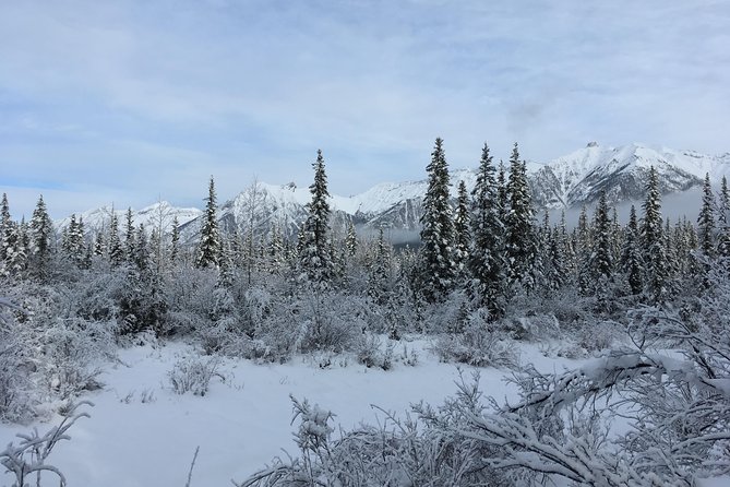 Wilderness and Wildlife Hiking Tour - 3hr Hike - Fitness, weather, and booking flexibility