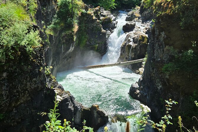 Wildlife, Waterfalls, Caves, Old Growth on Vancouver Island - Why this Vancouver Island day trip works