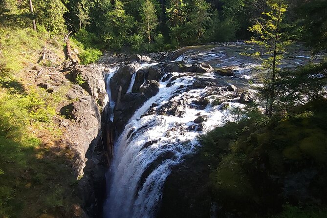 Wildlife, Waterfalls, Caves, Old Growth on Vancouver Island - Little Qualicum Falls, power over polish