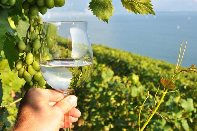 Wine Tasting and lavender Farm Tours - Key points to know before booking