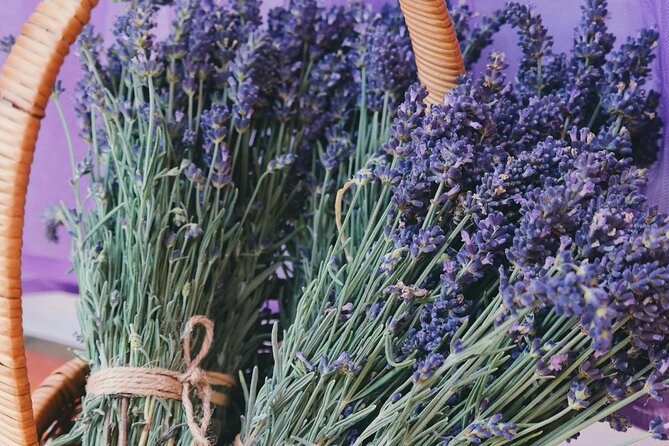 Wine Tasting and lavender Farm Tours - Why this Niagara wine tour works