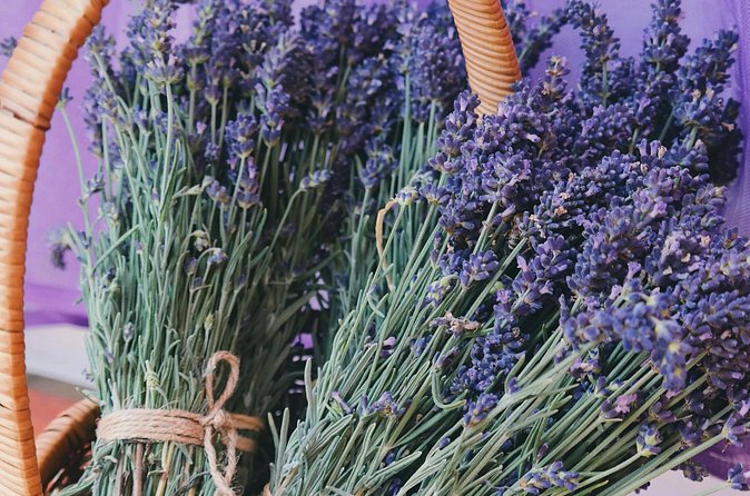 Wine Tasting and lavender Farm Tours - Price and what the $126.96 covers