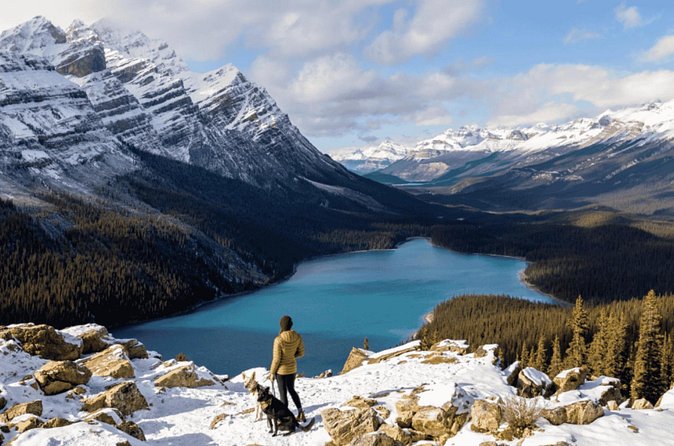 Winter 4 Days- Banff, Yoho, Icefields & Gondola - Final verdict: convenient value with a busy schedule